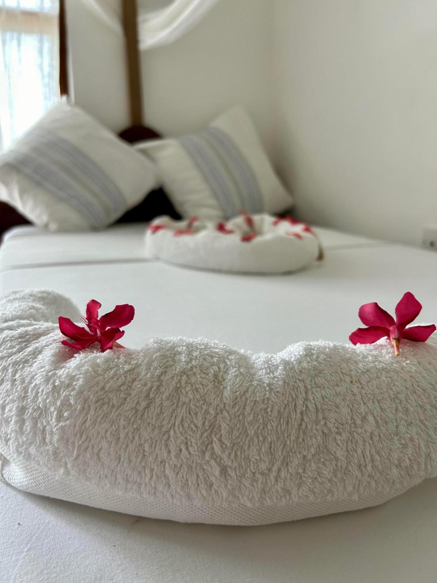 Shamba Lodge Нунгви Экстерьер фото